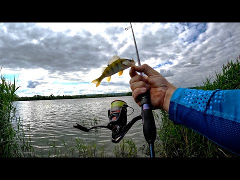 Видео: Рибалка на озері! Силікон на окуня!! Мікроджиг літом!