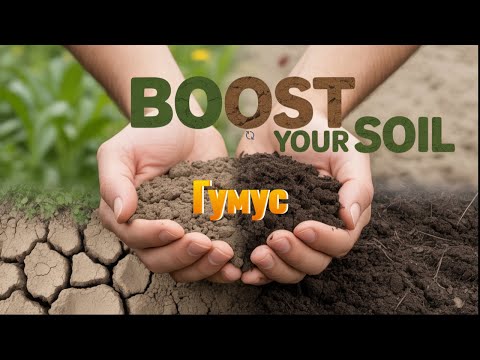 Видео: Почему гумус так важен для почвы?