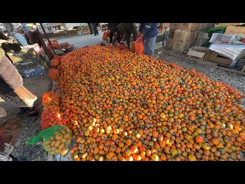 Видео: ПОМИДОР 8 МИНГ СУМ ТУРТКУЛЬ ДЕХКОН БОЗОР НАРХЛАРИ 16.10.2024