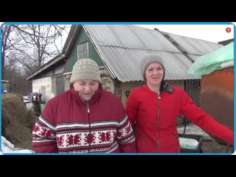 Видео: ТЁЩА ПРИШЛА В ГОСТИ ВЫБИРАТЬ СЕБЕ КОРОВУ, ЖИЗНЬ В ДЕРЕВНЕ