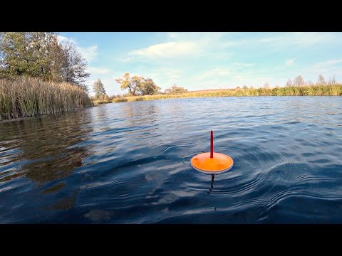 Видео: РЫБАЛКА на ЖИВЦА! ЛОВЛЯ ЩУКИ НА КРУЖКИ. Природа Сказка! Жарим Яичницу.