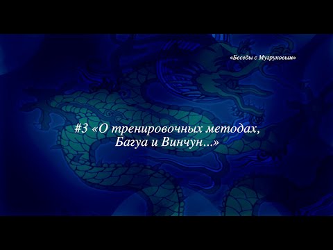 Видео: "Беседы с Музруковым" №3. О тренировочных методах ушу, о Багуа и Винчун.