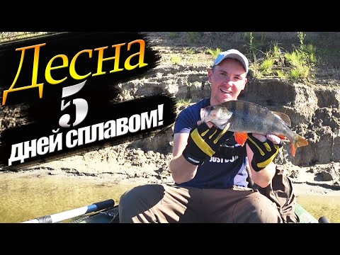 Видео: Рыбалка на реке Десна, продолжает радовать трофеями!  Рыбалка сплавом