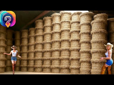 Видео: Как производится лён — увлекательная переработка миллионов тонн льна на современном заводе!