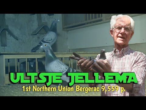 Видео: Родство - ULTSJE JELLEMA - 1-й Северный союз Бержерака 2022