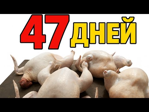 Видео: 47 дней!Скоро продажа бройлеров 🐔47 Days! Getting BROILERS Ready for Sale 🐥