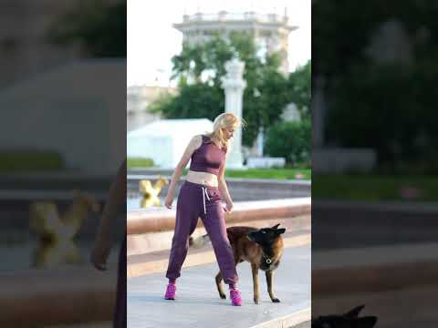 Видео: Танцы на ВДНХ. Малинуа Сабур #собака #дрессировка #ilovemydog