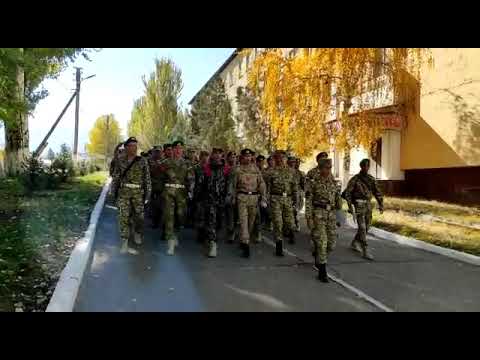 Видео: КОЙ ТАШ МСБ 2-20 КУЗ