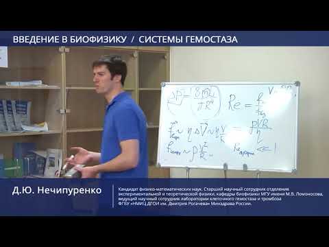 Видео: Введение в биофизику, системы гемостаза. ч.2