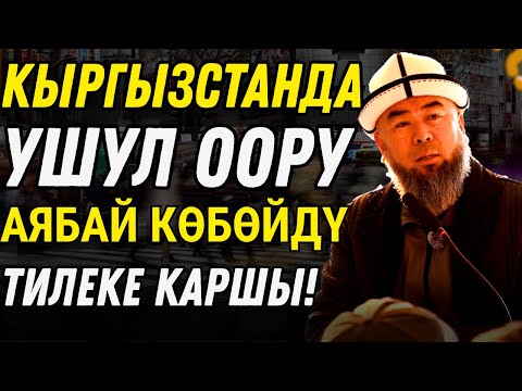 Видео: ОРЛИНОЕ АЙЫЛЫ. ЭРКЕКТИҢ ЭН ЖАМАНЫ ЭЛ БАГАТ ДЕЧҮ ЭЛЕ, АЗЫР ҮЙ-БҮЛӨСҮН БАГА АЛАБЫ?