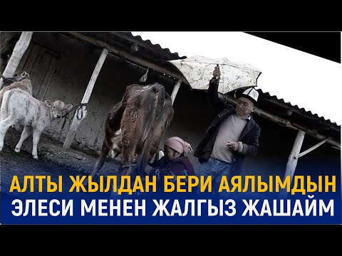 Видео: АЛТЫ ЖЫЛДАН БЕРИ, АЯЛЫМДЫН ЭЛЕСИ МЕНЕН ЖАШАП КЕЛЕМ.