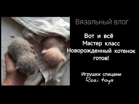 Видео: Мастер класс Новорожденный котёнок доступен| Подробности| Что дальше?| И, давайте пообщаемся