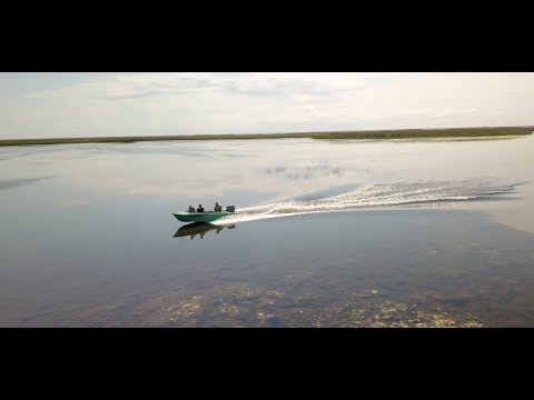 Видео: Рыбалка на лиманах. Щучьи капризы