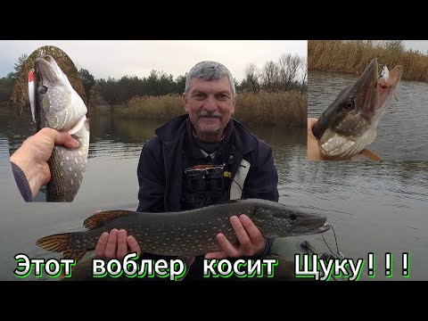 Видео: Ловля Щуки в Ноябре. Лучший воблер для ловли Щуки  в Ноябре. Идеальный выбор для Убойной рыбалки