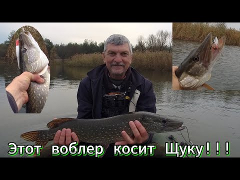 Видео: Ловля Щуки !!! Лучший воблер для ловли Щуки в Позднюю осень: Идеальный выбор для Убойной рыбалки!!!