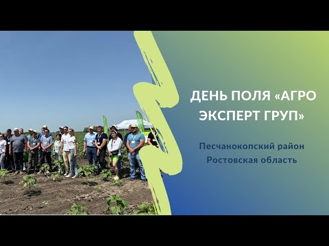 Видео: Секреты химической защиты пшеницы и подсолнечника. День поля «Агро Эксперт груп»