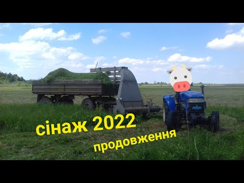 Видео: СІНАЖ 2022 ПРОДОВЖЕННЯ!, добиваєм яму сінажу для🐄🐃🐂