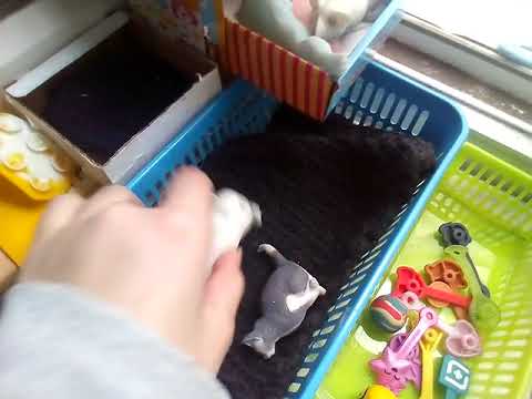 Видео: Пополнение/ Замачиваю собачек