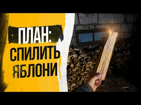 Видео: У меня был план: спилить яблони в саду / Заготовка дров / Жизнь в деревне
