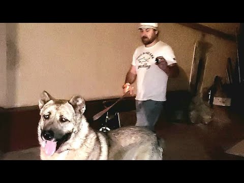 Видео: Мага агамыз БАЙ Каркеле Хатаб Гора Лимузин Шаман Туча Басар Кумур Туча