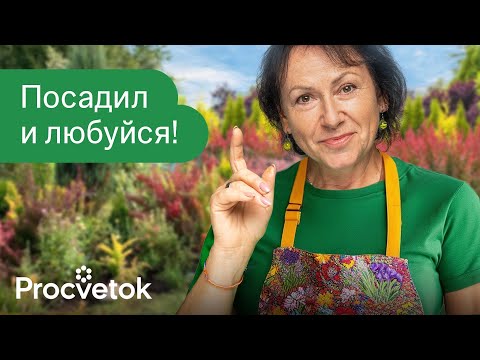 Видео: 8 РОСКОШНЫХ КУСТАРНИКОВ, КОТОРЫМ ВООБЩЕ НЕ НУЖЕН УХОД!