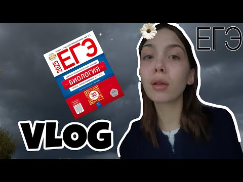 Видео: мой первый влог. будни в 11 классе
