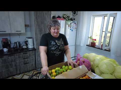 Видео: Мама и 💞11 детей💞 - Очень вкусное нежное тесто на пиццу -  закупка