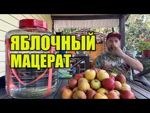 Видео: Яблочный мацерат. Стоит ли этим заниматься и кому может понравиться?