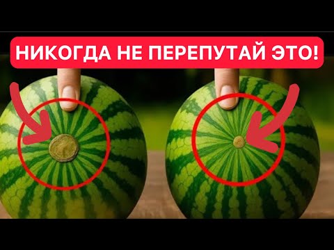 Видео: Никогда не бери арбуз, если видишь ЭТО! Секрет, который изменит твой выбор навсегда