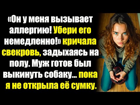 Видео: «Выбирай — я или этот пёс!» — свекровь устроила спектакль с «удушьем». Но я нашла в её сумке правду.