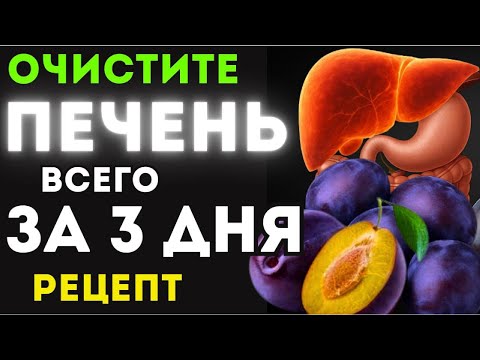 Видео: Здоровье печени после 60 — простой рецепт, который работает