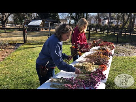 Видео: Как сделать букет из смешанных сухоцветов | 1818 Farms