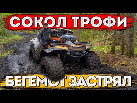 Видео: Наконец то квадроцикл Сокол Трофи застрял! Месим торфяное болото #квадроцикл #сокол #offroad #aodes