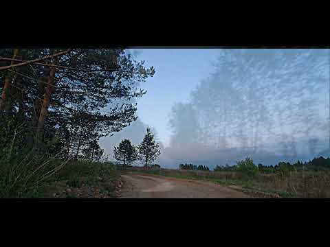 Видео: Вологодская область. Вожега-2021. Деревня Сенькинская.