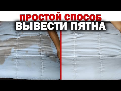 Видео: Как ВЫВЕСТИ ПЯТНА на одеяле, матрасе, подушке, ОТБЕЛИТЬ вещи. Простая ХИТРОСТЬ, как удалить пятна