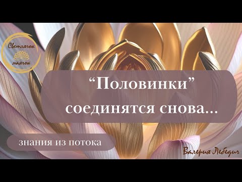 Видео: "Половинки" соединяются снова | Как нас разъединили  #любовь #пробуждение #отношения #ченнелинг