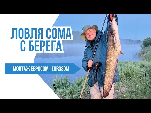 Видео: Ловля Сома с Берега | Монтаж Для Ловли Сома