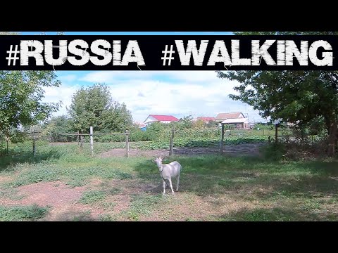 Видео: /Russia,​​ walking in the Volgograd region/ Прогулка в посёлке Рудня близ Чёрного озера.