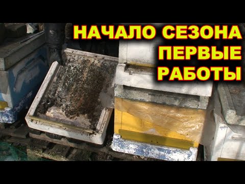 Видео: Начало сезона. Первые работы на пасеке.