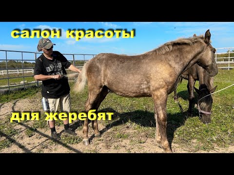 Видео: Налаживаем контакт