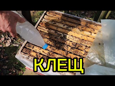 Видео: Внеплановая обработка от клеща