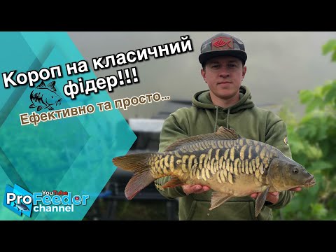 Видео: Короп на класичний фідер! Ефективно і просто…