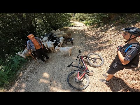 Видео: 90км в любимата планина!