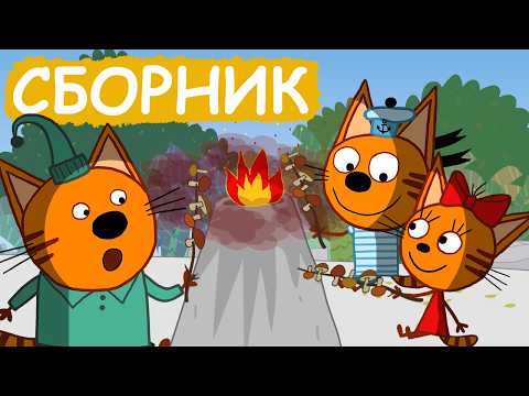 Видео: Три Кота | Сборник милых серий | Мультфильмы для детей😃