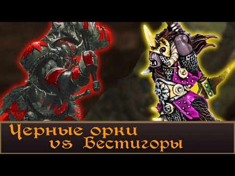 Видео: Подробный разбор Бестигоров против Черных орков. Warhammer  Fantasy Lore.