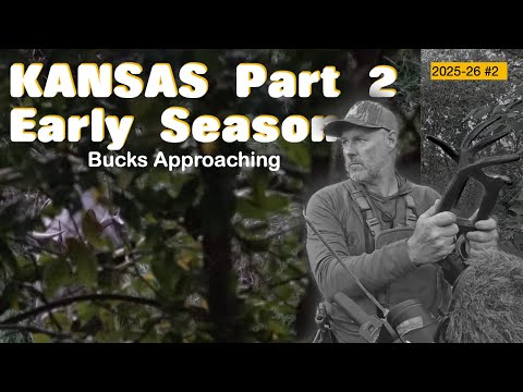 Видео: Начало сезона охоты с луком в Канзасе. Приближаются самцы.