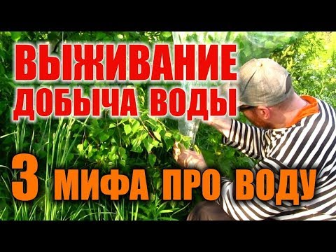 Видео: КАК НАЙТИ ВОДУ В ЛЕСУ. ДОБЫЧА ВОДЫ ПРИ ЧС. Известные способы добычи воды  - правда или миф. Бушкрафт