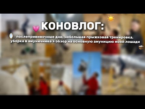 Видео: КОНОВЛОГ: рутина на конюшне + обзор амуниции моей лошади