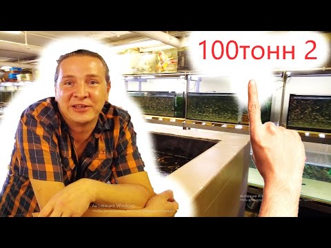 Видео: 100 тонн аквариумистики в Яхроме 2