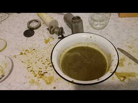 Видео: Незрелые орехи с медом 1:1